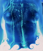 Video integracije - SCG